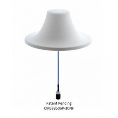 CMS38606P.jpg